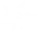 Drone Assault