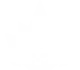 Excited State