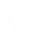 Periodic Table Flip