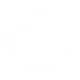 Battleborn