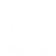 Ordained Hammer