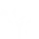 Tempered Pyre