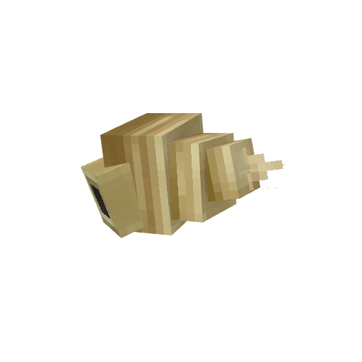 Deco_Coral_Shell_Swirly.png