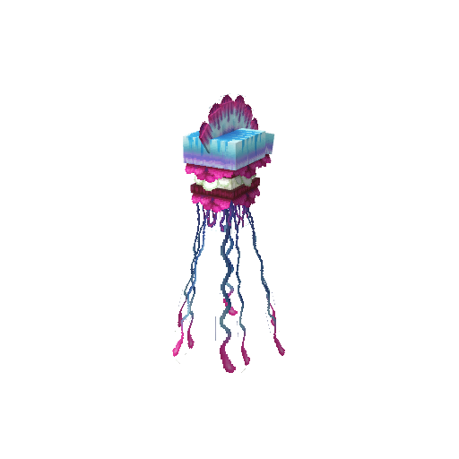 Fish_Jellyfish_Man_Of_War_Item.png