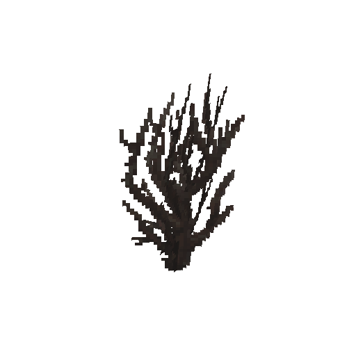 Plant_Bush_Dead_Tall.png