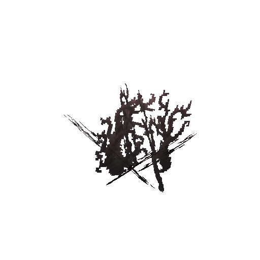 Plant_Bush_Dead_Twisted.png