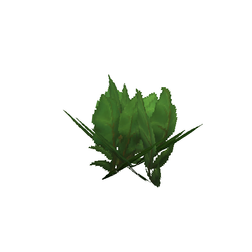 Plant_Bush_Jungle.png