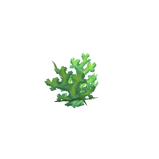 Plant_Coral_Bush_Green.png