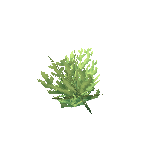 Plant_Coral_Bush_Lime.png