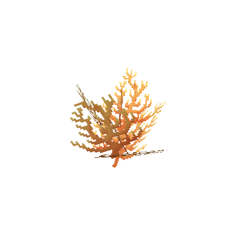 Plant_Coral_Bush_Orange.png