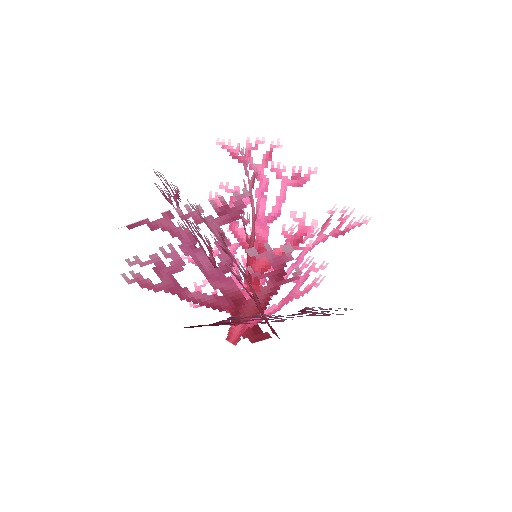 Plant_Coral_Bush_Pink.png