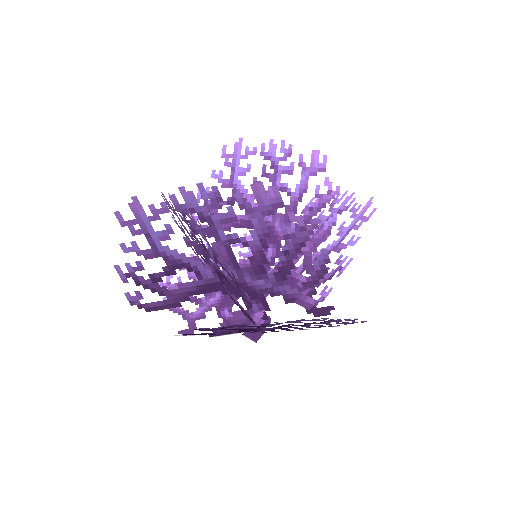 Plant_Coral_Bush_Purple.png