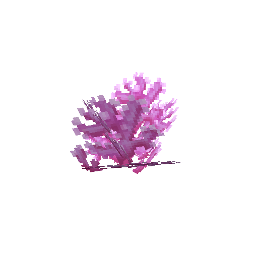Plant_Coral_Bush_Violet.png