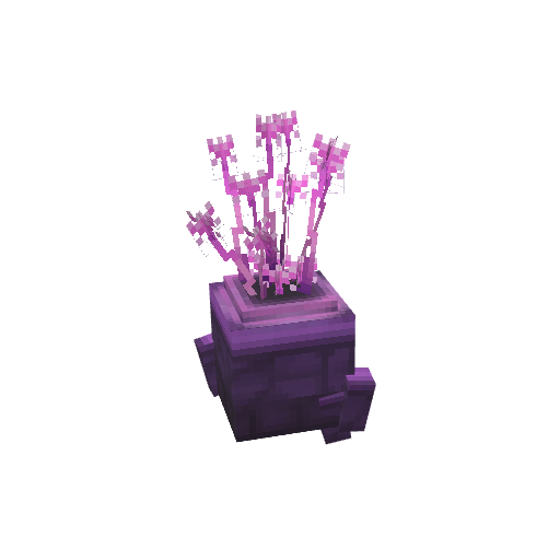 Plant_Coral_Model_Pink.png