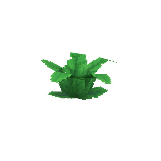 Plant_Fern.png
