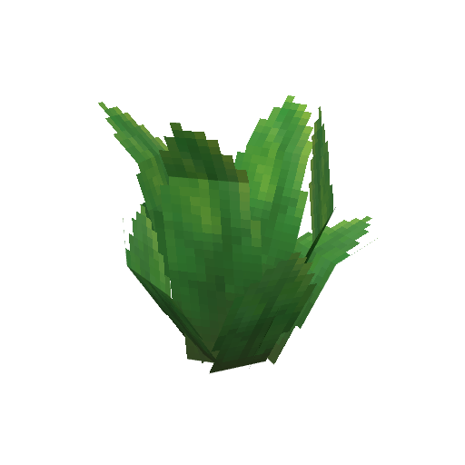 Plant_Fern_Tall.png