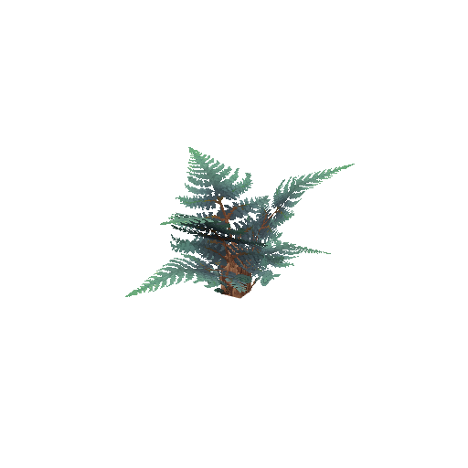 Plant_Fern_Wet_Giant.png