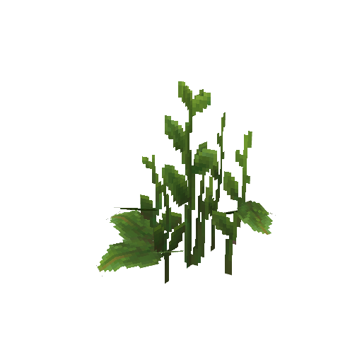 Plant_Flower_Bushy_Green.png
