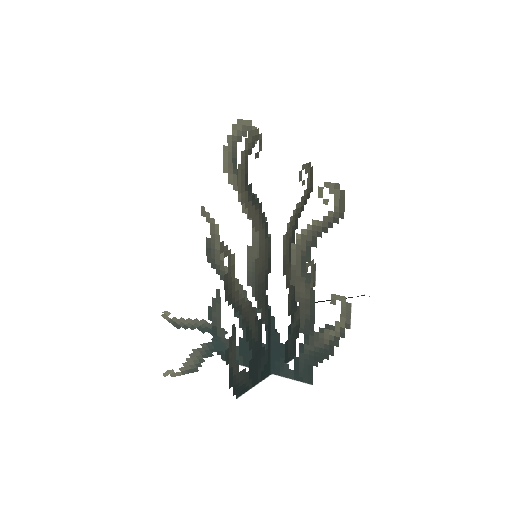 Plant_Flower_Bushy_Grey.png