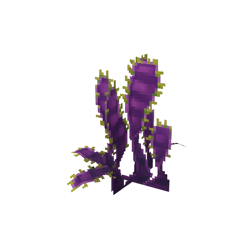 Plant_Flower_Bushy_Violet.png