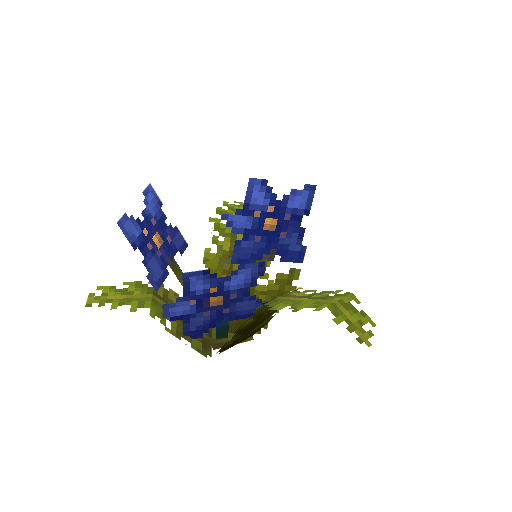 Plant_Flower_Common_Blue.png