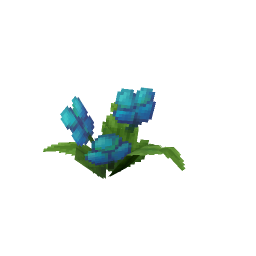 Plant_Flower_Common_Cyan2.png