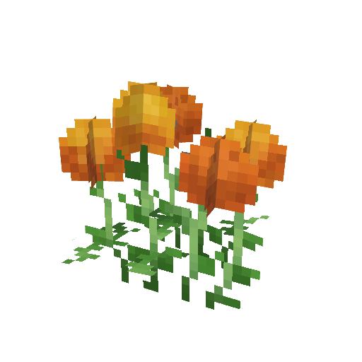 Plant_Flower_Common_Orange.png