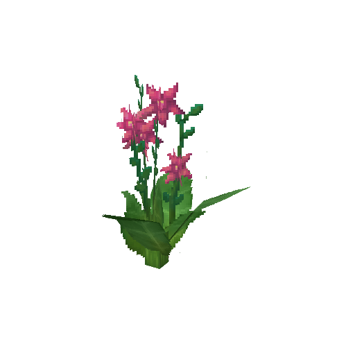 Plant_Flower_Common_Pink.png