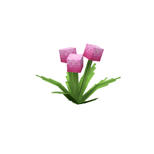 Plant_Flower_Common_Pink2.png