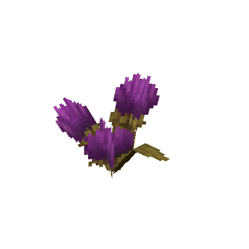 Plant_Flower_Common_Purple.png