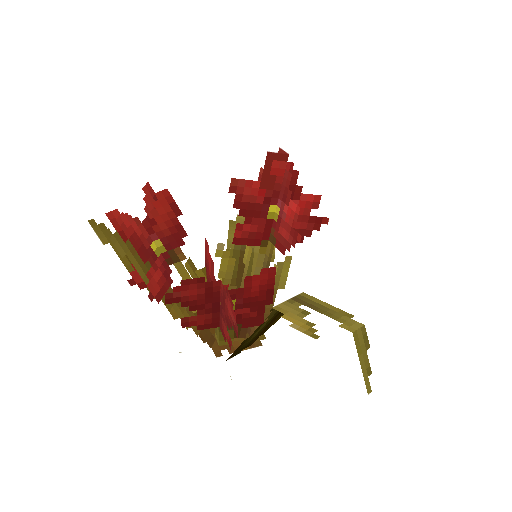Plant_Flower_Common_Red.png