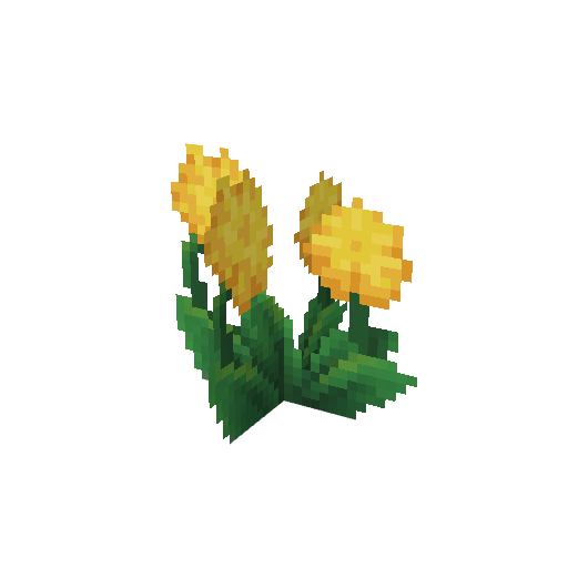 Plant_Flower_Common_Yellow2.png