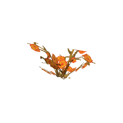 Plant_Flower_Flax_Orange.png