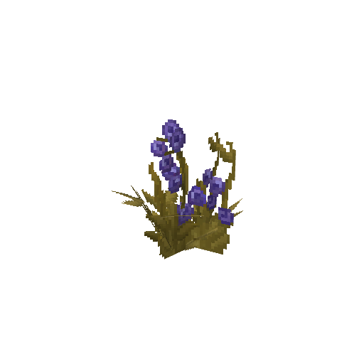 Plant_Flower_Flax_Purple.png