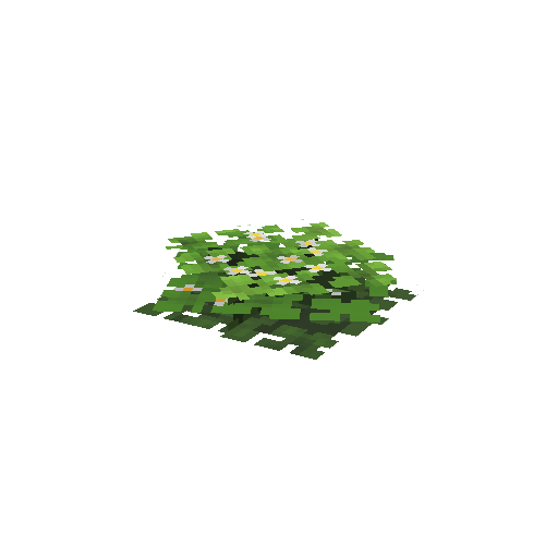 Plant_Flower_Flax_White.png