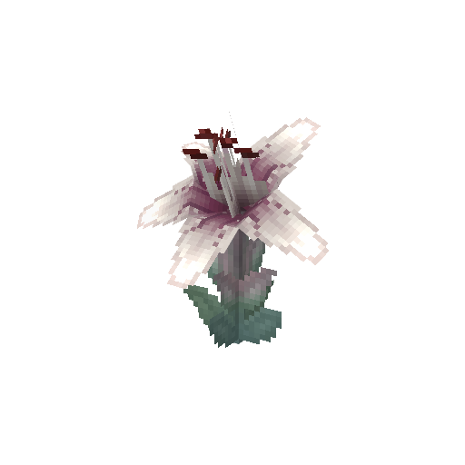 Plant_Flower_Orchid_White.png