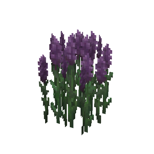 Plant_Flower_Tall_Purple.png