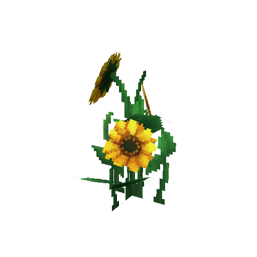 Plant_Flower_Tall_Yellow.png