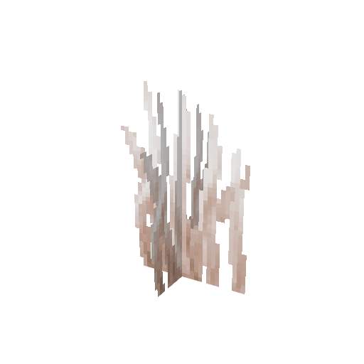 Plant_Grass_Dry.png