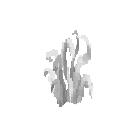 Plant_Grass_Gnarled_Tall.png