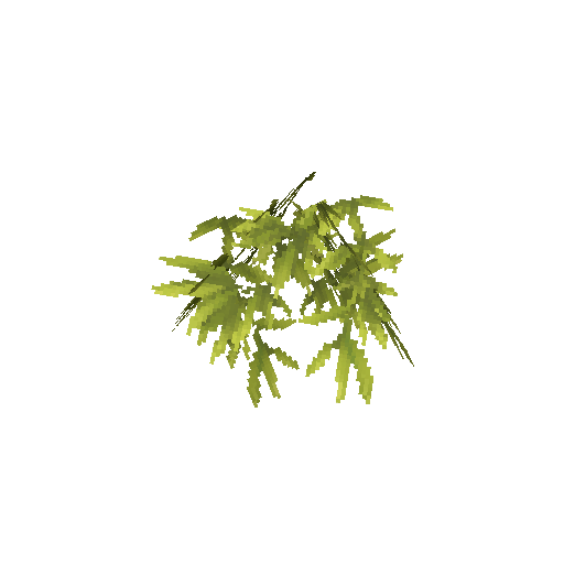 Plant_Leaves_Bamboo.png