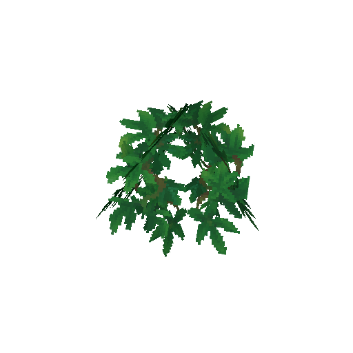Plant_Leaves_Banyan.png