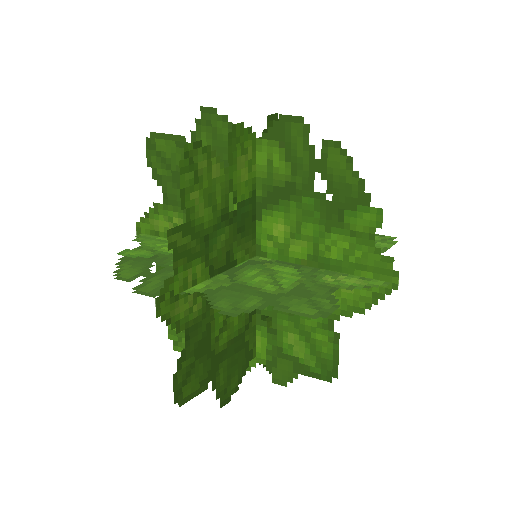 Plant_Leaves_Beech.png