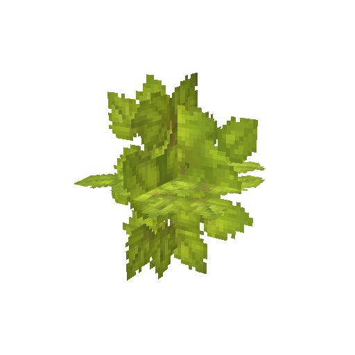Plant_Leaves_Birch.png