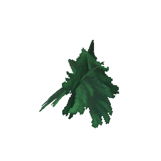 Plant_Leaves_Fir.png