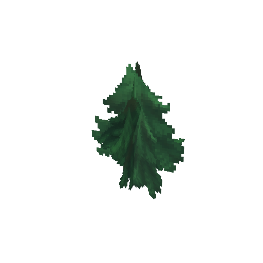 Plant_Leaves_Fir_Tip.png