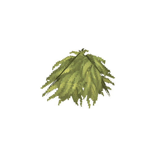 Plant_Leaves_Gumboab.png