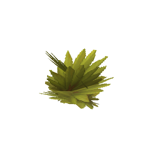 Plant_Leaves_Palm.png