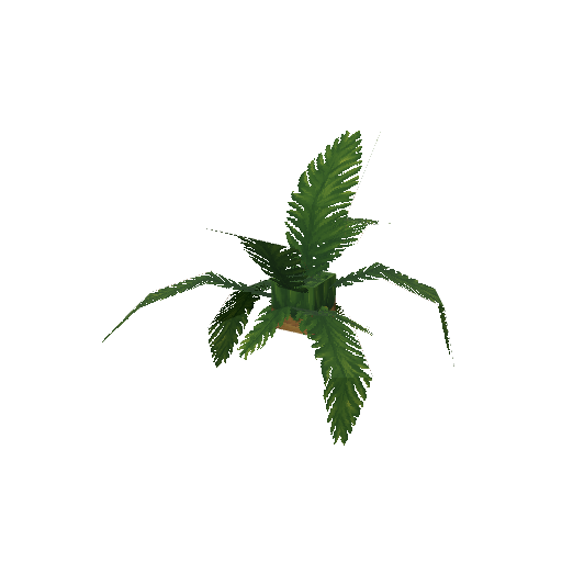 Plant_Leaves_Palm_Oasis.png
