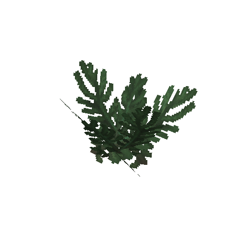Plant_Leaves_Redwood.png